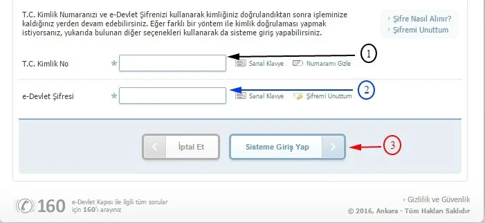 edevlet