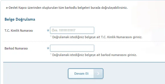 E Devlet Doğrulama