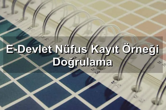 E-Devlet Nüfus Kayıt Örneği Doğrulama