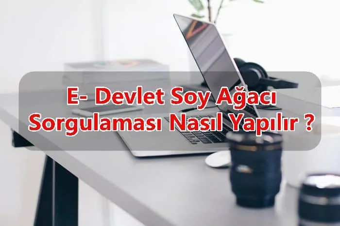 E-Devlet Soy Ağacı Sorgulaması Nasıl Yapılır ?