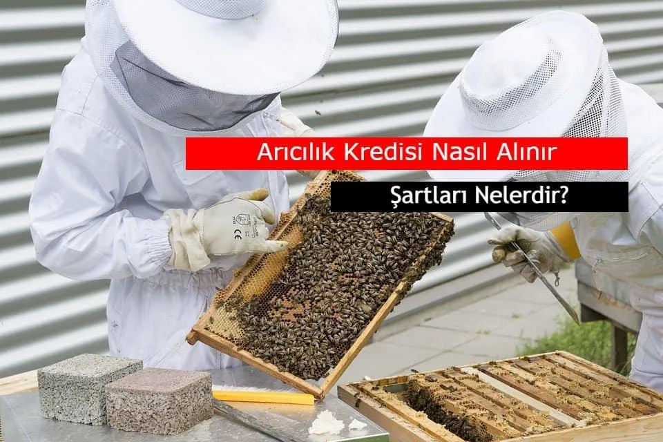 Ziraat Bankası Arıcılık Kredisi (84 Ay Vade) Devlet Desteği