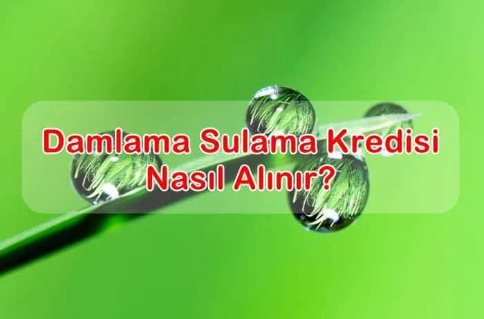 Damlama Sulama Kredisi Nasıl Alınır, Şartları Nelerdir?