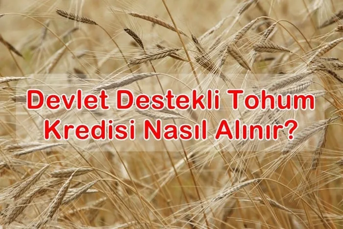 Devlet Destekli Tohum Kredisi Ne Kadar, Nasıl Alınır?
