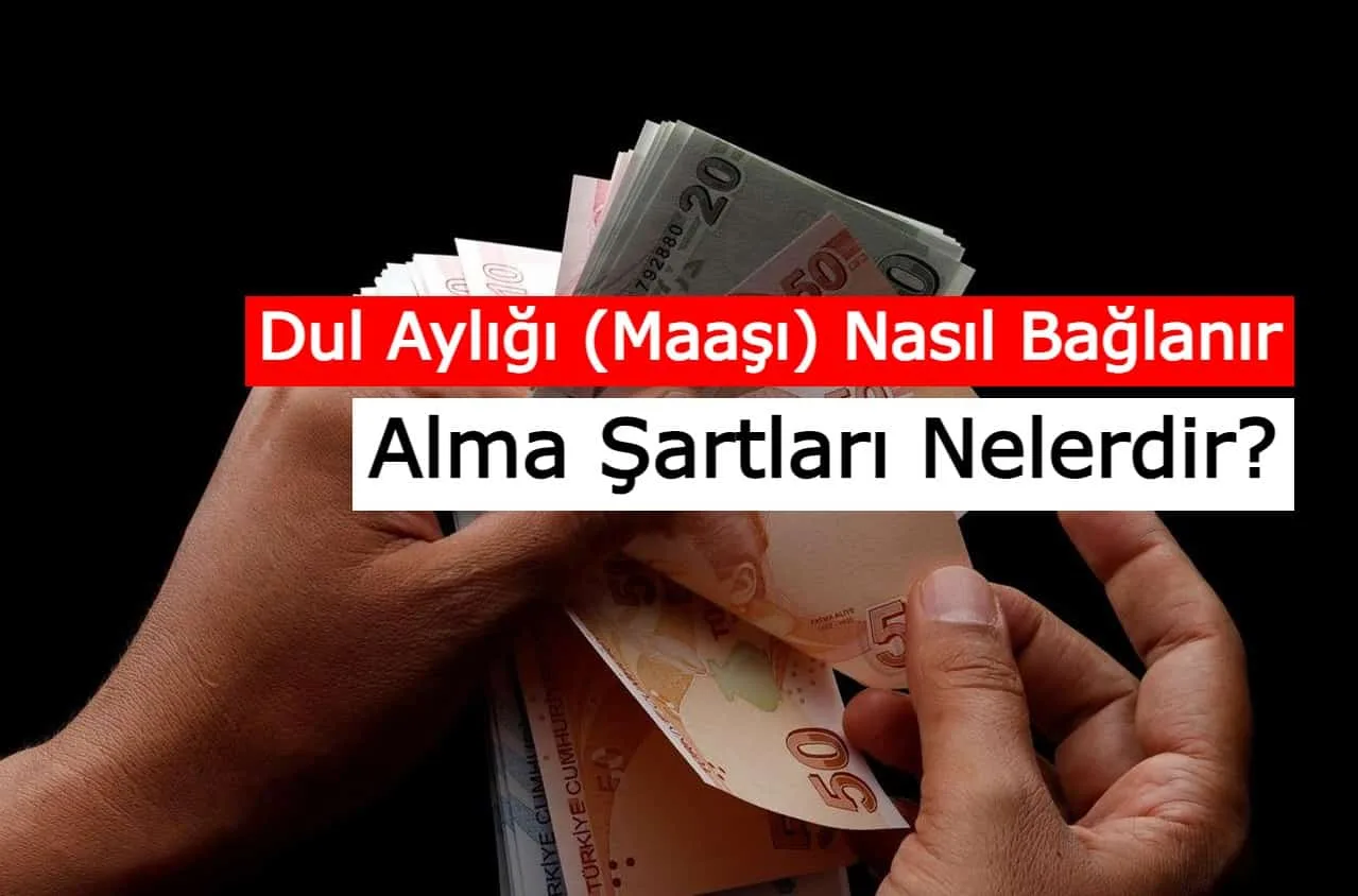 Dul Aylığı (Maaşı) Nasıl Bağlanır, Alma Şartları Nelerdir?