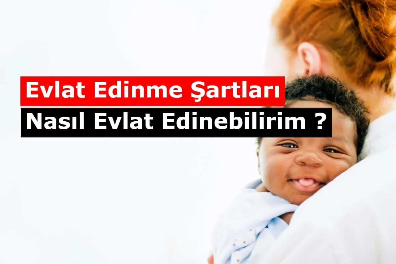 Evlat Edinme Şartları, Nasıl Evlat Edinebilirim?