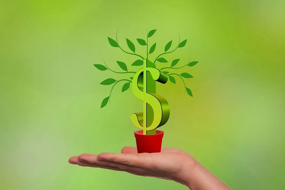 Merkez Bankası; Faizleri Serbest Olarak Belirlenecek!