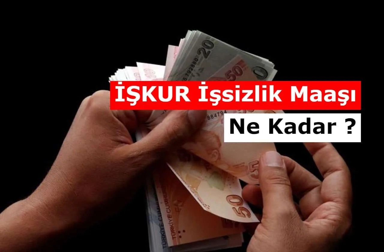 2025 İşsizlik Maaşı Ne Kadar Oldu? Başvurusu, Şartları