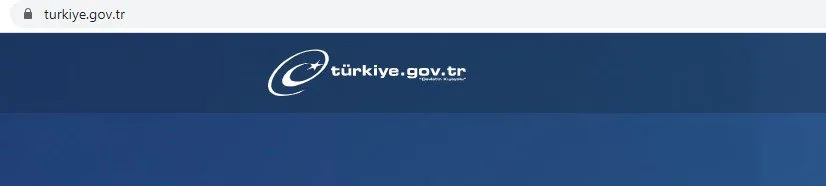 Plakadan Araç Hasar Kaydı Sorgulama 3