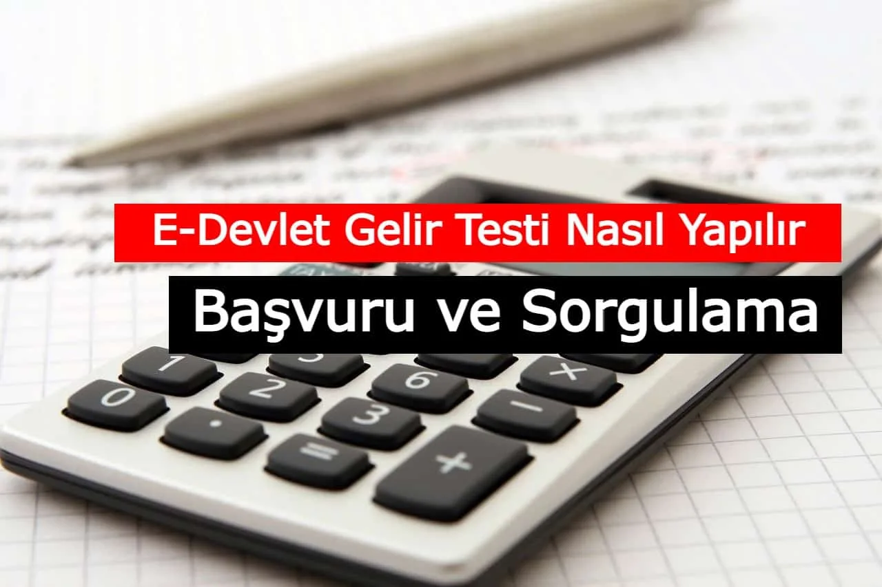 E-Devlet Gelir Testi Nasıl Yapılır? Başvurusu, Sorgulama