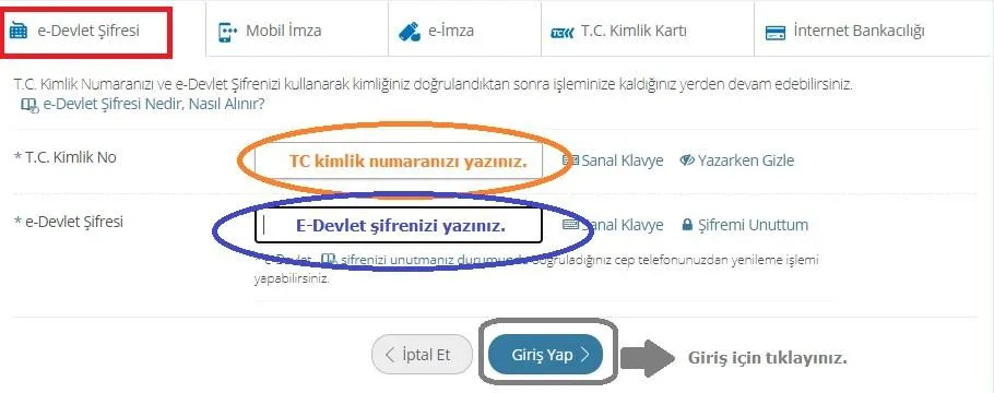 edevlet giriş ekranı