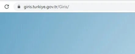 doğum parası edevlet