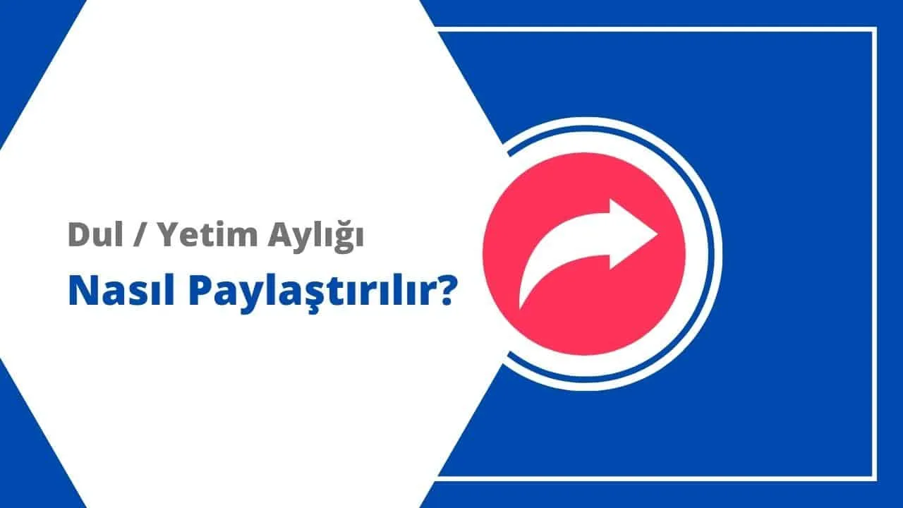 Ölüm (Dul ve Yetim) Aylığı Nasıl Paylaştırılır?