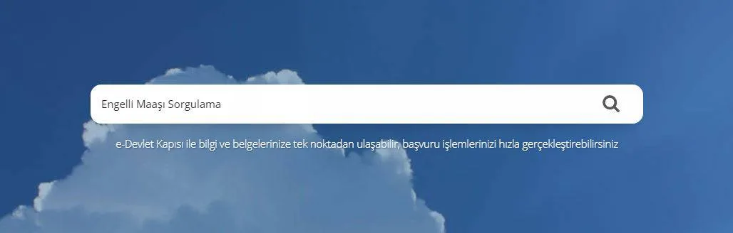 T.C No ile Engelli Maaşı Sorgulama E-Devlet