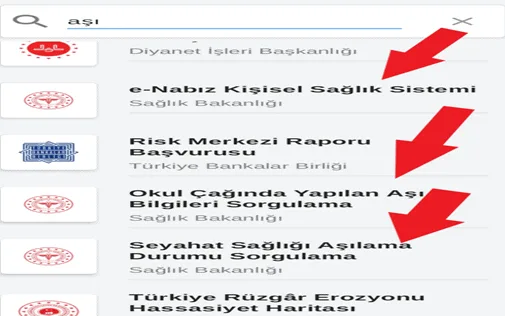e-devlet aşı sorgulama girişi