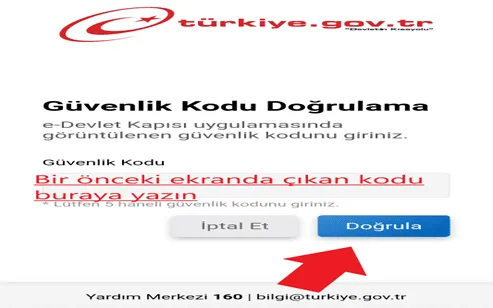 e-devlet aşı sorgulama onay