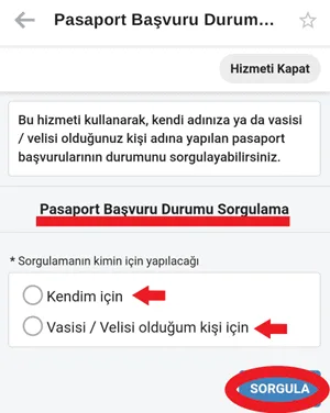 Pasaport Ne Zaman Gelir Sorgulama Nasıl Yapılır? 6