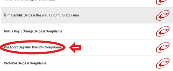 Pasaport Ne Zaman Gelir Sorgulama Nasıl Yapılır? 7