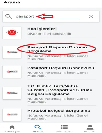 Pasaport Ne Zaman Gelir Sorgulama Nasıl Yapılır? 5