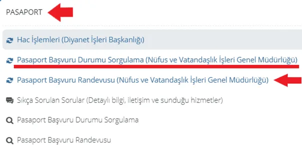Pasaport Ne Zaman Gelir Sorgulama Nasıl Yapılır?