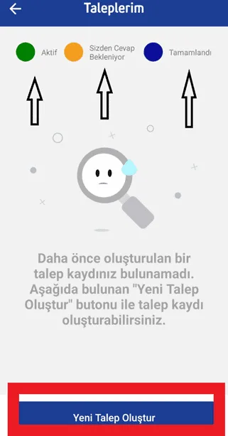 Setcard Bakiye Sorgulama Online Ekran 10