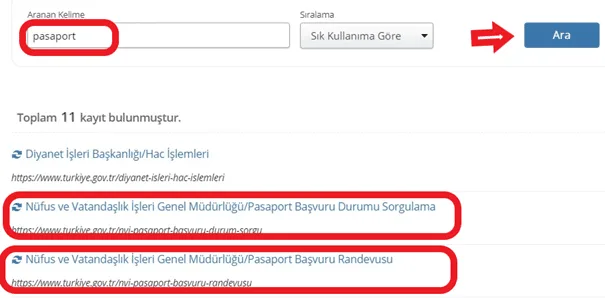 2024 Pasaport Yenileme Ücreti Ne Kadar? 2