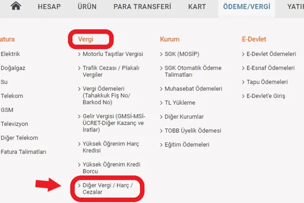 2024 Pasaport Yenileme Ücreti Ne Kadar? 13