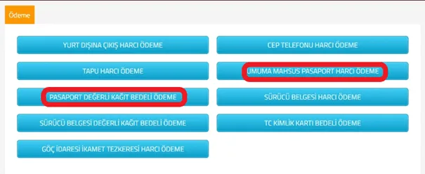 2024 Pasaport Yenileme Ücreti Ne Kadar? 15