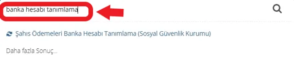 E-Devlet Banka Hesabı Tanımlama 3