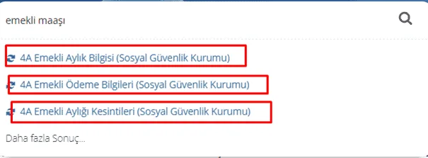 E-Devlet Emekli Maaşı Sorgulama İşlemi 8