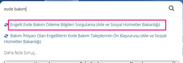 Evde Bakım Maaşı E-Devlet'te Görünmüyor, Ne Yapmalıyım? 2
