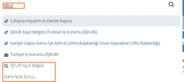 E-Devlet İŞKUR Kursiyer Maaşı Sorgulama 10