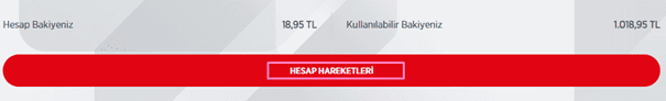 Ziraat Bankası Bakiye ve Para Sorgulama Ekranı 6