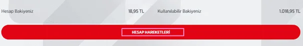 Ziraat Bankası Bakiye ve Para Sorgulama Ekranı 6