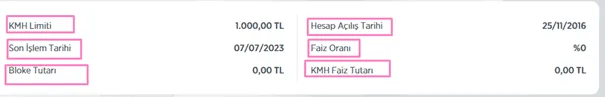 Ziraat Bankası Bakiye ve Para Sorgulama Ekranı 7