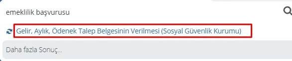 2024 Engelli Emekli Maaşı Hesaplama Robotu