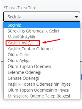 2024 Engelli Emekli Maaşı Hesaplama Robotu 3