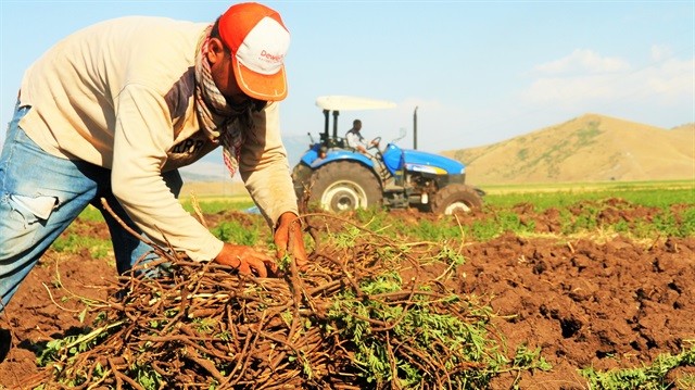 90c0be9372bc69085adfa404cdd7c64f