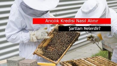 aricilik kredisi nasil alinir