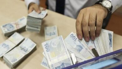 devletin hibe kredi verdigi sektorler