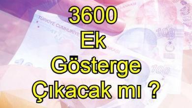 3600 ek gosterge cikacakmi