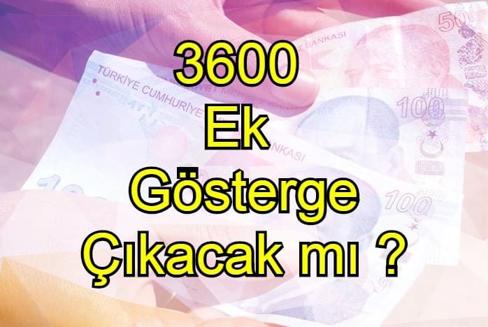 3600 ek gosterge cikacakmi