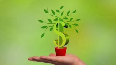 merkez bankasi faizleri serbest olarak belirleyecek