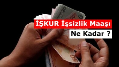 en dusuk en yuksek issizlik maasi nekadar