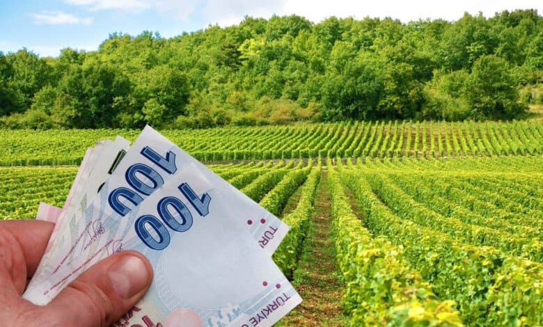 genc ciftcilere 120bintl kredi veriliyor