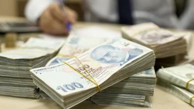 tarim ve orman bakanligindan ciftviye dev destek geliyor