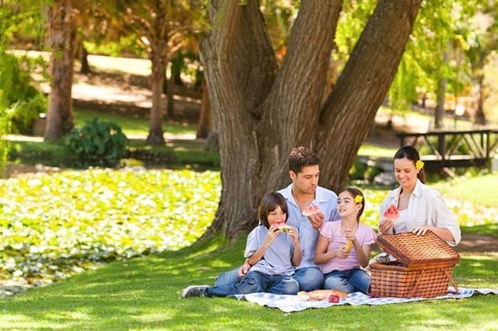 normallesme nezaman olacak