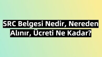 src belgesi nekadar nasil alinir