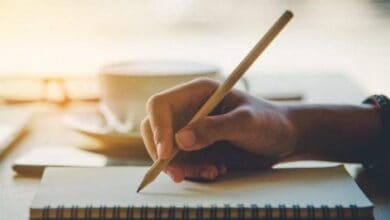 2020 meb lgs yerlestirme kilavuzu