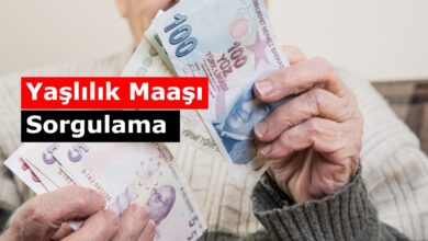 65 yas ayligi sorgulama