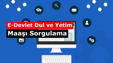 edevlet yetim ve dul maasi sorgulamasi